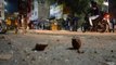 Delhi Violence: 2 More Dead Bodies Found In Gokulpuri Drain