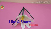 Saffron flower/DIY projects/ paper flower from Crepe paper/ Saffron Crocus/ paper flower/ simply DIY/ how to make white Saffron Crocus/ flower making of Crepe paper/ handmade projects/ paper craft/ paper flower making/DIY/ flower tutorial/ home decor