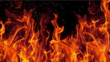 Jhajjar: 4 Killed, 30 Injured In Boiler Explosion