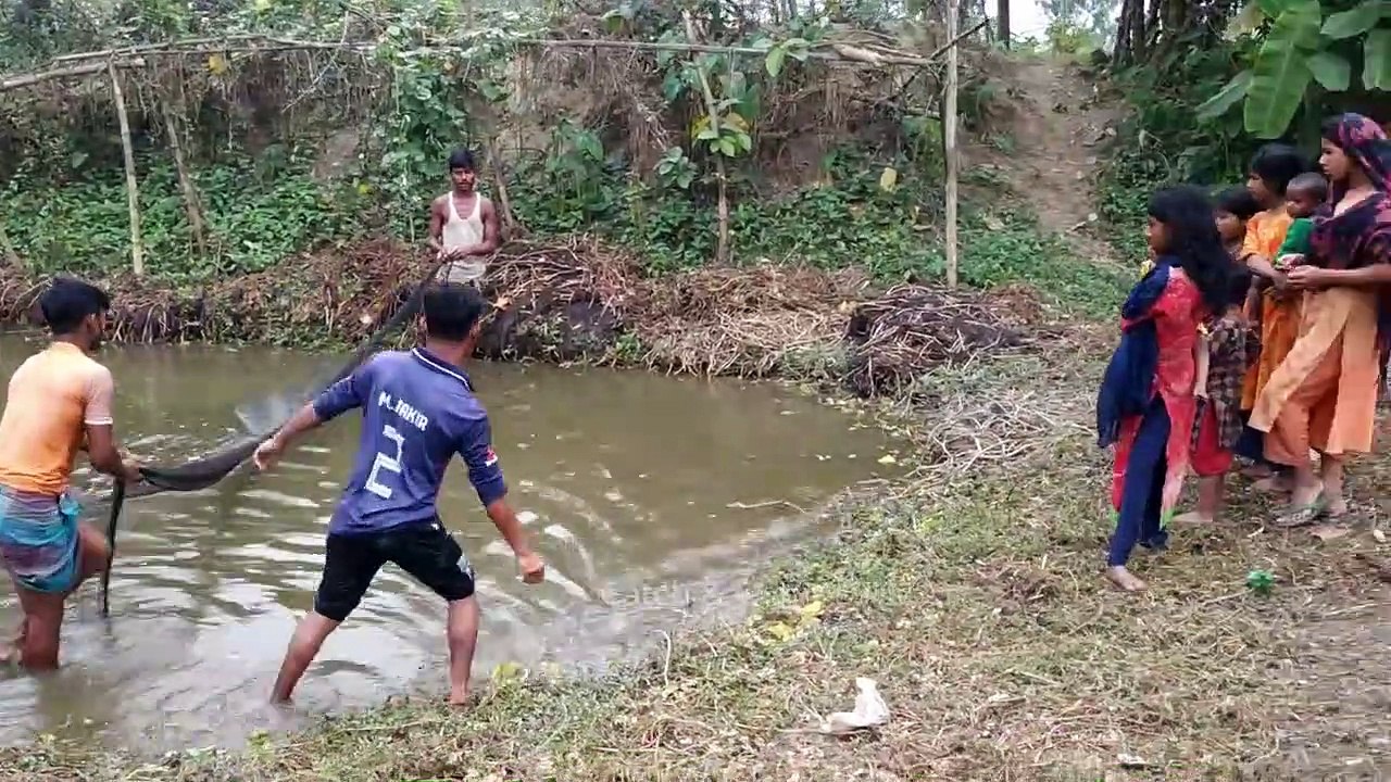 Best Net fishing ll Big Fish Hunting With Cast net in the Village Pond