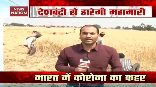 पंजाब में गेहूं के फसल की कटाई शुरू