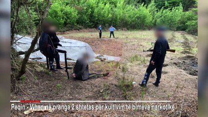 Gjithçka gati, por policia u prish planet...