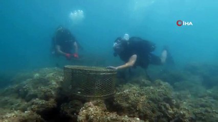 Hatay’da yasa dışı balık avcılarına 13 bin lira ceza kesildi