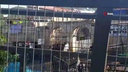 - İsrail'de korona virüs tedbirlerine uymayanlara polisten sert müdahale