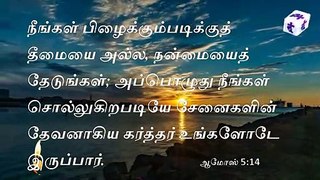 Today bible reading in Tamil -ஆமோஸ் 5 :14