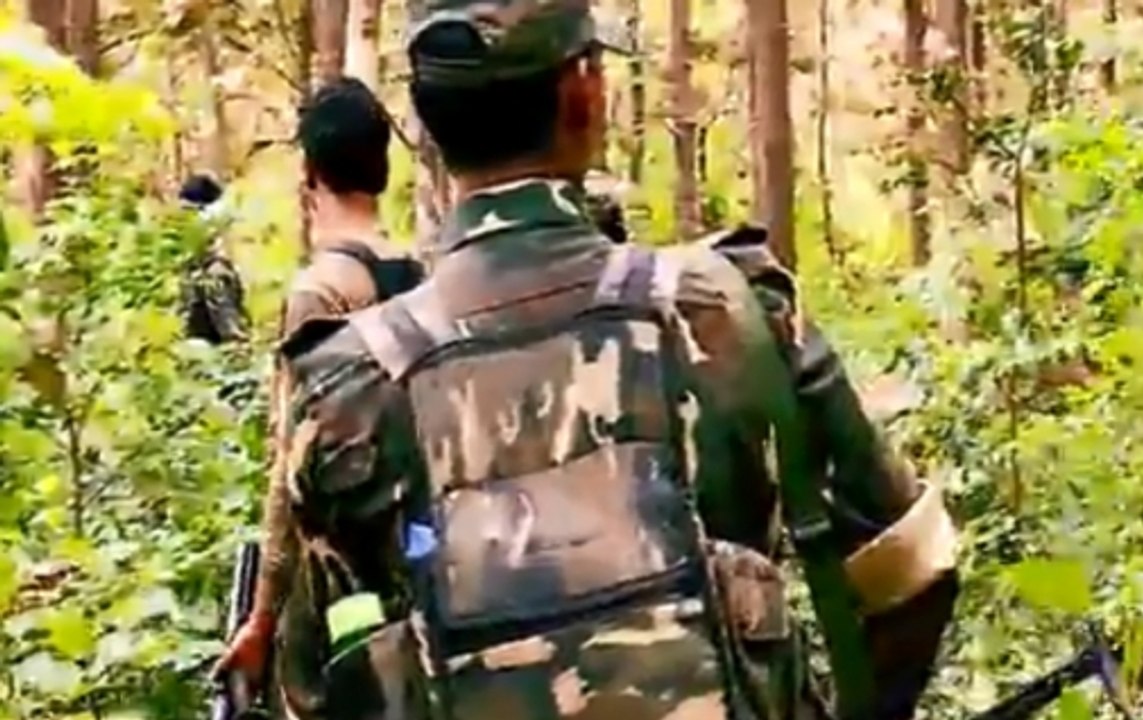 NN Exclusive: People of Chhattisgarh have rejected Naxals, says CM Raman Singh