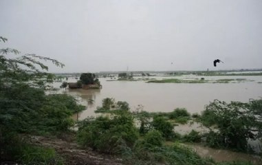 Saharanpur village faces flood like situation after water was released from Hathni Kund barrage