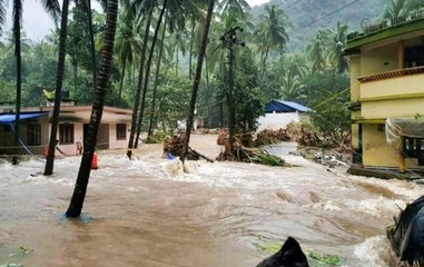 Kerala: Floods kill 20 people in last 24 hours