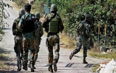 Four militants killed by security forces in north Kashmir's Gurez area