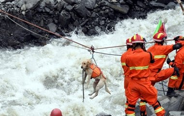 China floods: Many roads and highways have been blocked