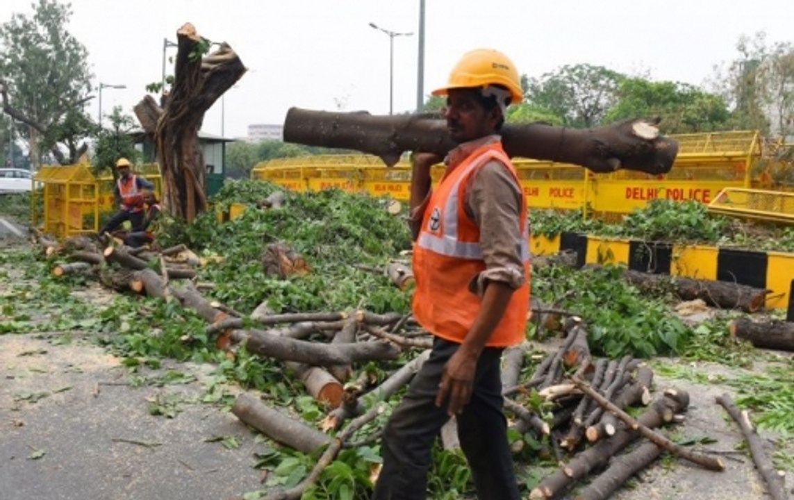 Delhi: Gas chamber city risking more trees