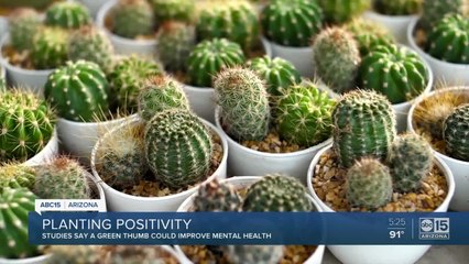 Studies say gardening can help with mental health