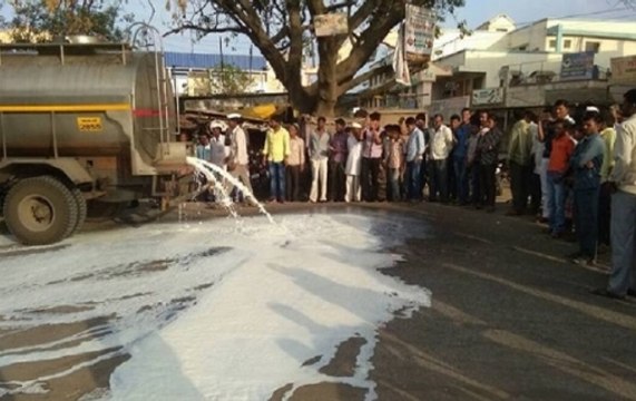 Maharashtra Milk farmers found unique ways to protests on streets