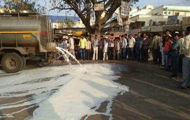 Maharashtra Milk farmers found unique ways to protests on streets