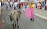 News Live: Man takes on a bull while holding a child in Potugal's Azores