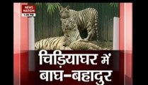 Why Delhi zoo is attracting tourists again!