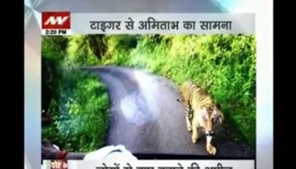 When Big B was 'chased' by a tiger for 4 Km