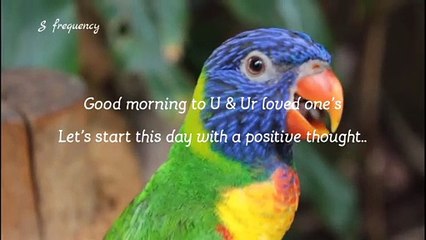 2020-5-13: Positive Vibes (% Get Inspired, Wednesday): Smile..