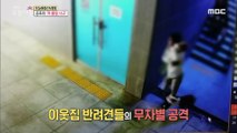 [INCIDENT] The Dog Bite Accident of Fear, 생방송 오늘 아침 20200513