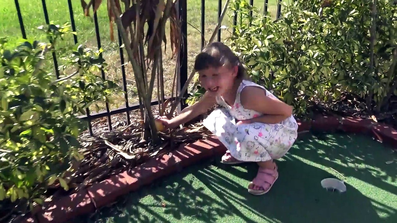 Sophia, Isabella e Alice Abrindo LOL Surprise Bonecas
