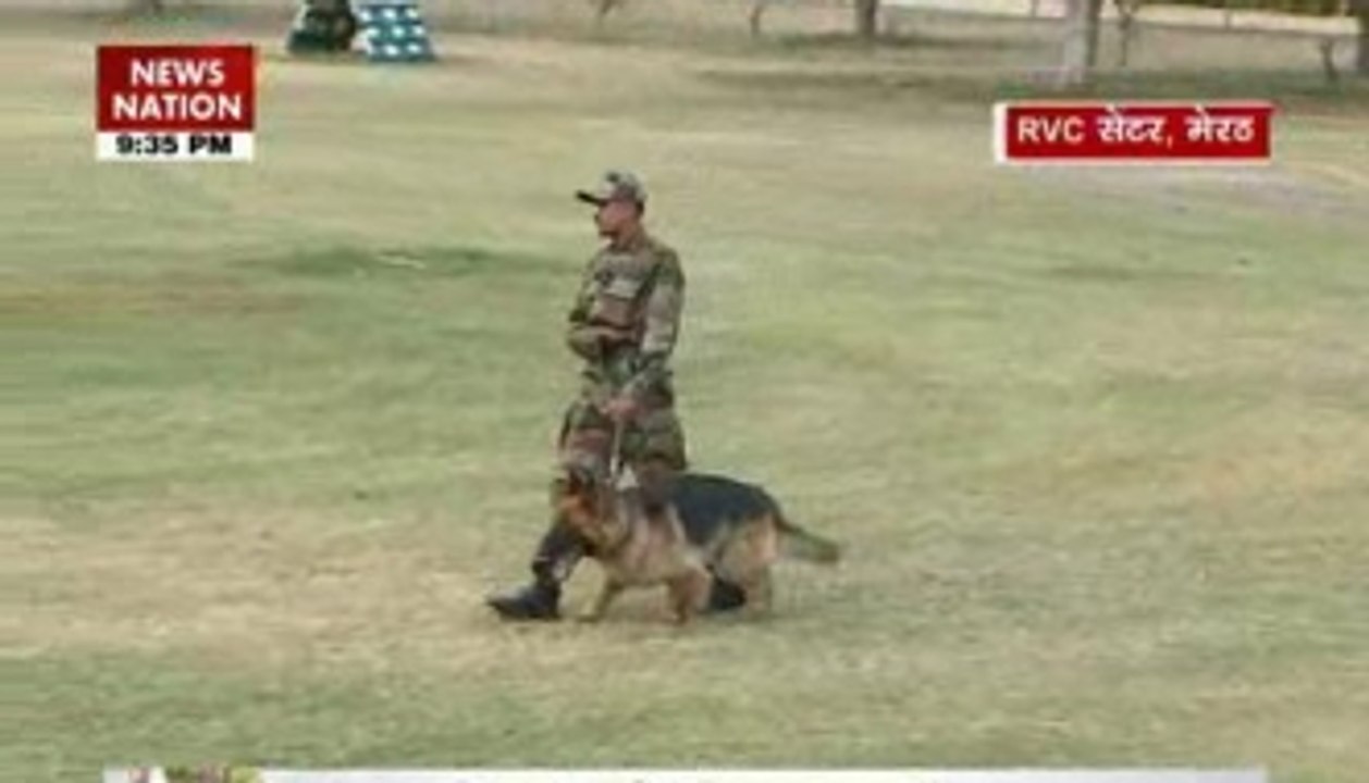 Dog Squad- An indispensable army weapon