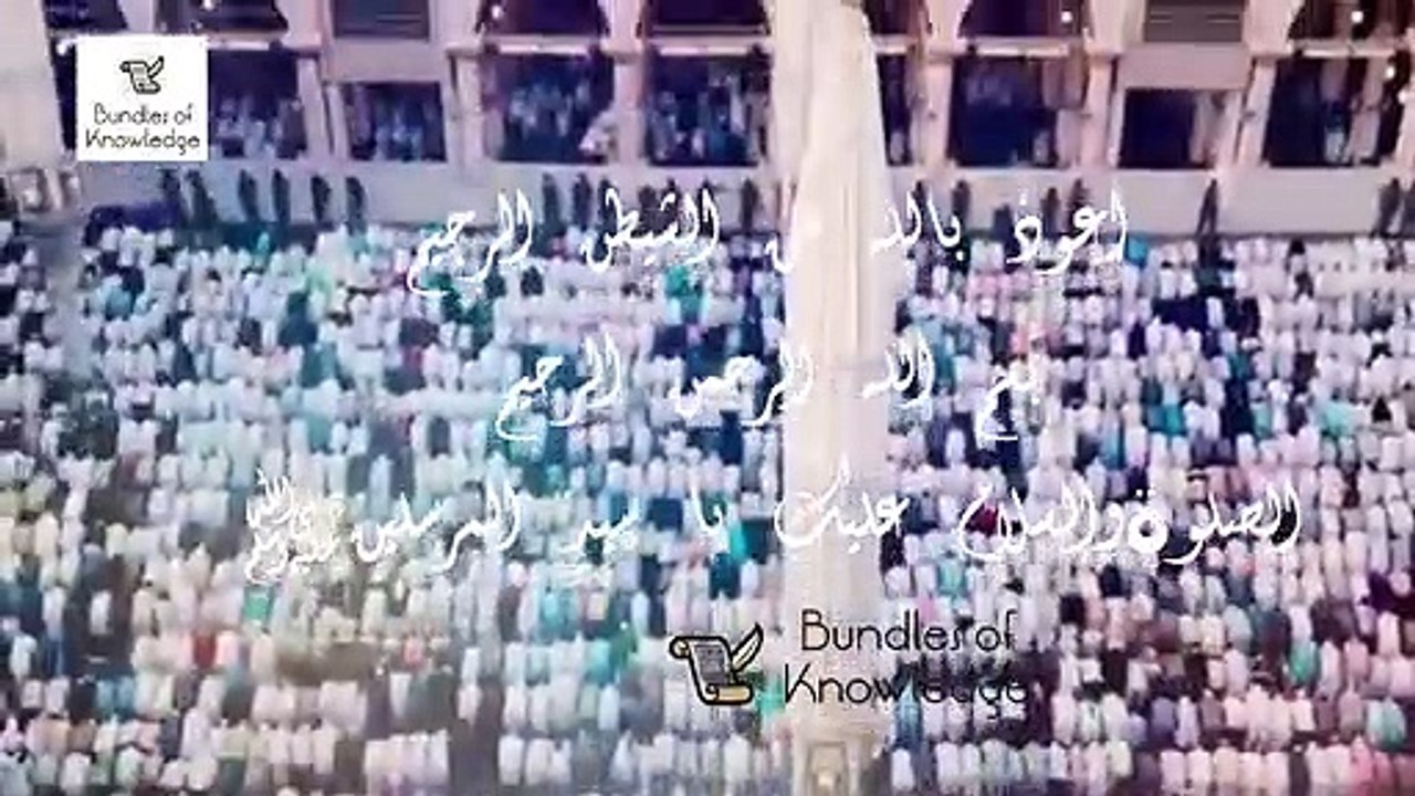 Science & Quran - Latest Scientific Research on Spider`s Fact in Urdu/Hindi - Bundles Of Knowledge