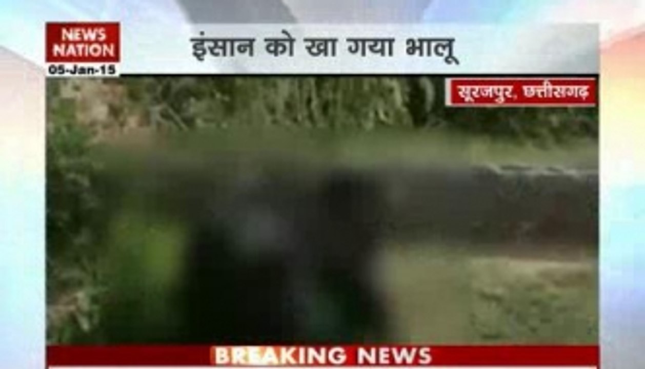 Bear mauls man in Chhattisgarh