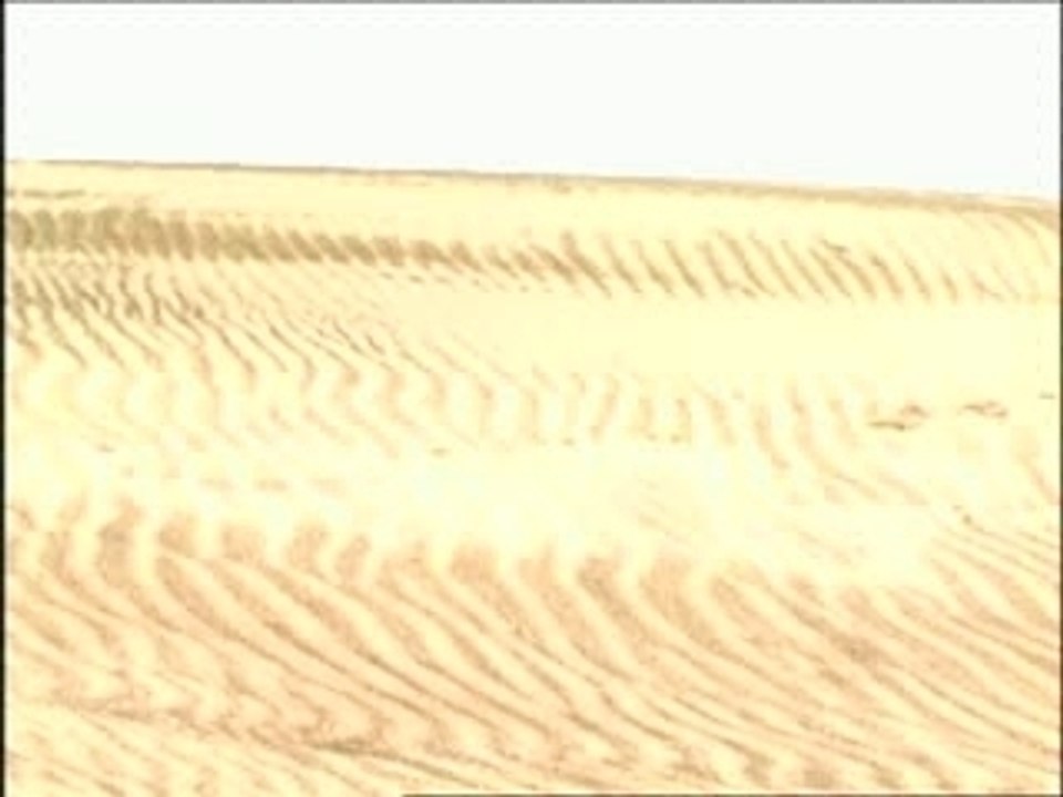 Desert Punk opening