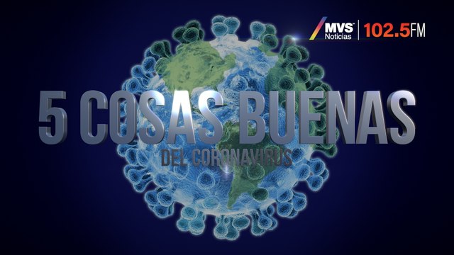 El adorable pug que alivia la ansiedad de médicos
