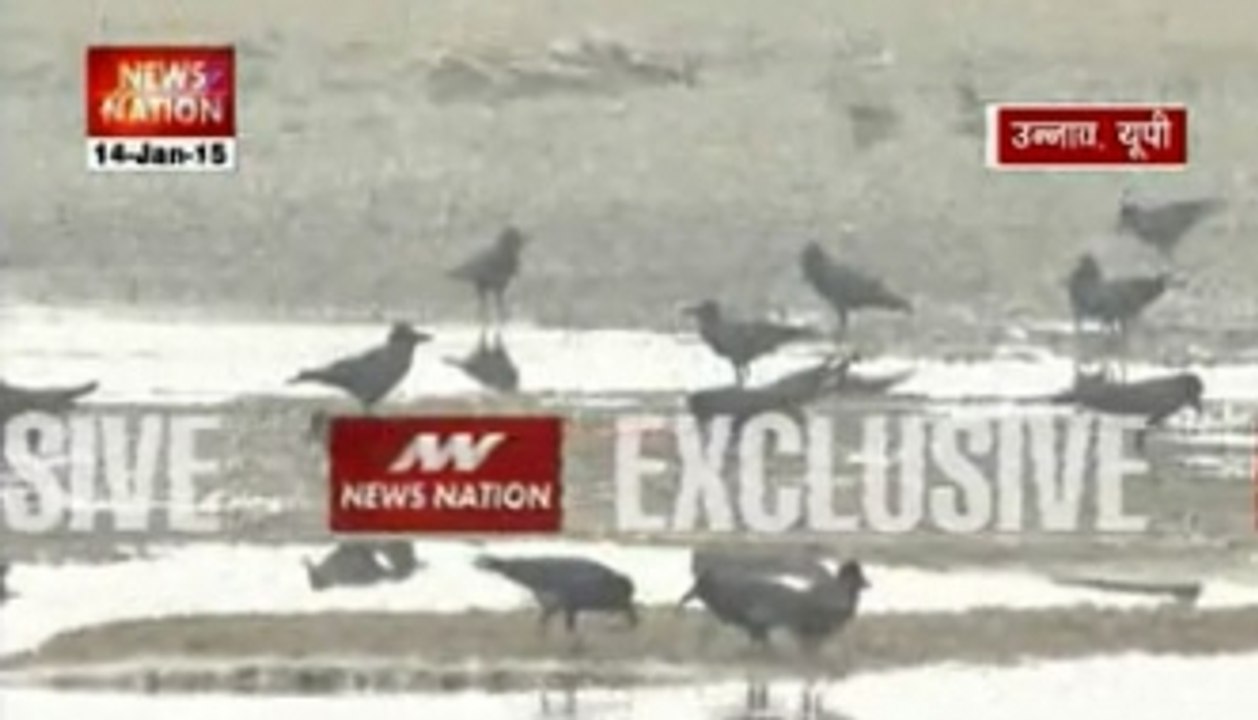 Ganga dead bodies: UP Govt tries to hide evidence
