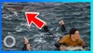 Shark Attack: Peselancar diikuti hiu dari belakang sebelum digigit! - TomoNews