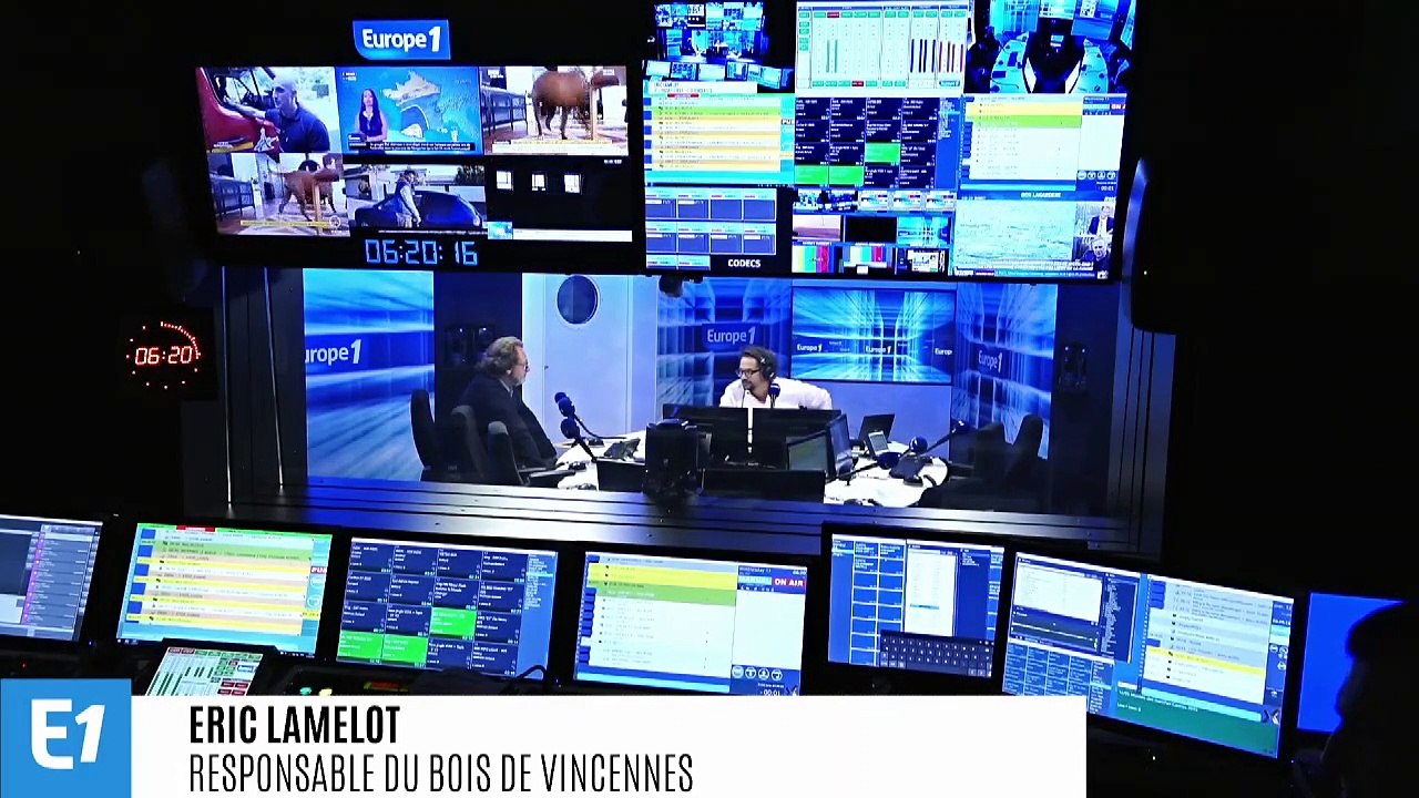 Eric Lamelot, responsable du Bois de Vincennes : "Cet événement exceptionnel crée des opportunités pour la nature"