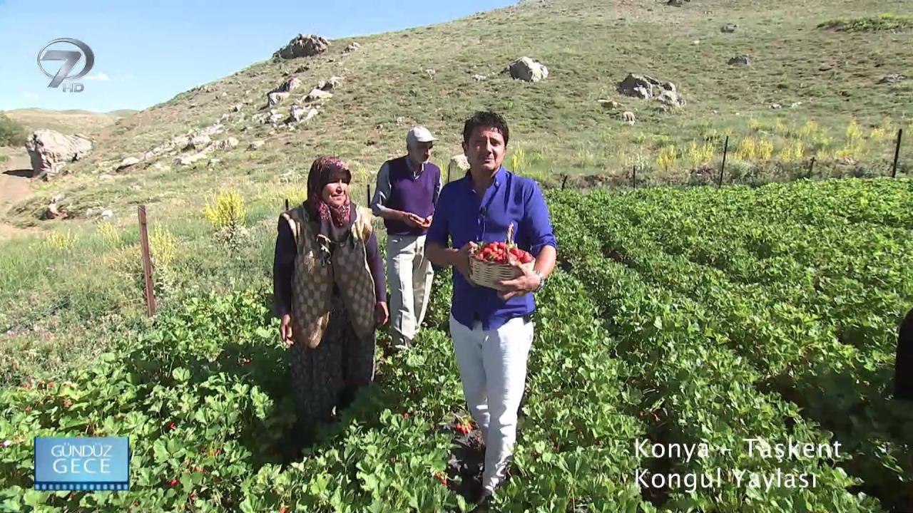 Gündüz Gece - Konya/Taşkent | 24 Ağustos 2019