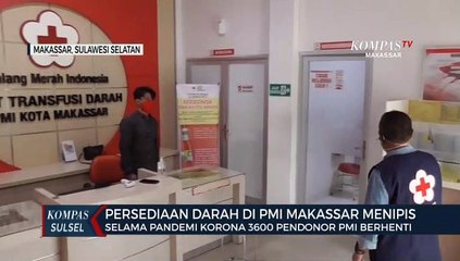 Persedian Darah Di PMI Makassar Menipis