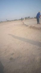 CRICKT MATCH TAPE BALL BEST TAPE BALL CRICKT