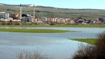 Ardahan'da Kura Nehri taştı, Ardahan Ovası göle göndü