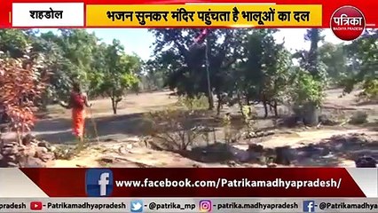 'फैमिली' के साथ भजन सुनता है 'भक्त' भालू ! 'Devotee'  Bear hears Bhajan with 'Family'