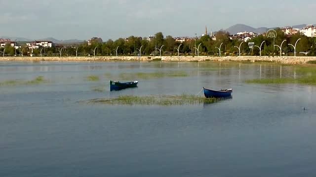 Beyşehir Gölü'nde oto lastiğine yuva yapan sakarmeke ile yavrusu ilgi odağı oldu