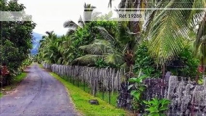 A vendre terrain de 1175M2 C/Mont. à Papara (Proche plage)