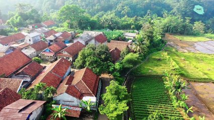 Agro Village farming droneshot | AGRO VILLAGE | DRONESHOT OF VILLAGE | VILLAGE FARMING