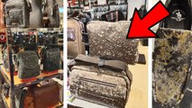 Pics of Leather Goods Infested With Moulds and Fungus Go Viral