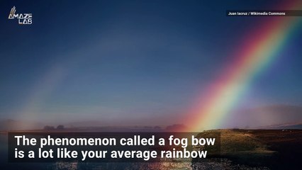 How to Spot a Stunning ‘White Rainbow’