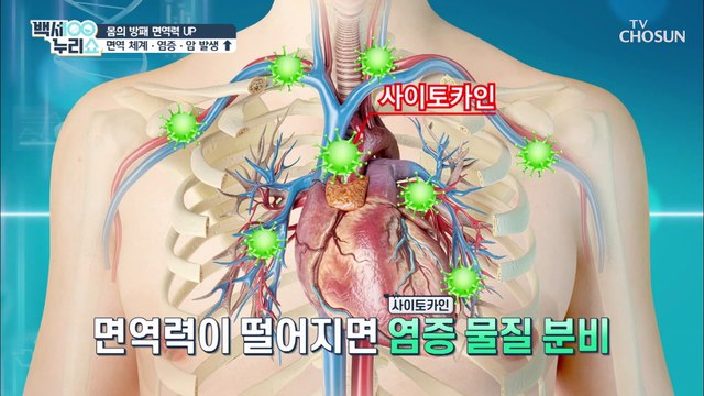 면역력⬊ 생기는 《만성 염증》 암까지 유발?