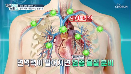 면역력⬊ 생기는 《만성 염증》 암까지 유발?