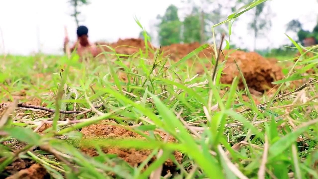 Building Temple Underground House And Water Slide To Swimming Pool Crocodile