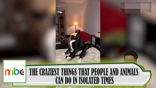 THE CRAZIEST THINGS THAT PEOPLE AND ANIMALS CAN DO IN ISOLATED TIMES.