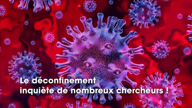 Les chercheurs ont calculé les risques du confinement et le résultat n’est pas encourageant