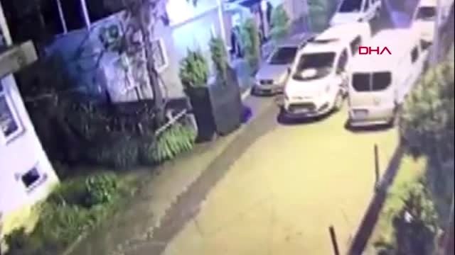 Artvin'de polis ekipleri şehre inen ayıyı kovaladı