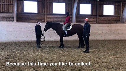 S2 M2 L1 - Alissa “body scan” Intro