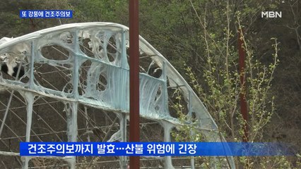강원 영동 강풍에 건조주의보까지…산불 날까 주민들 긴장